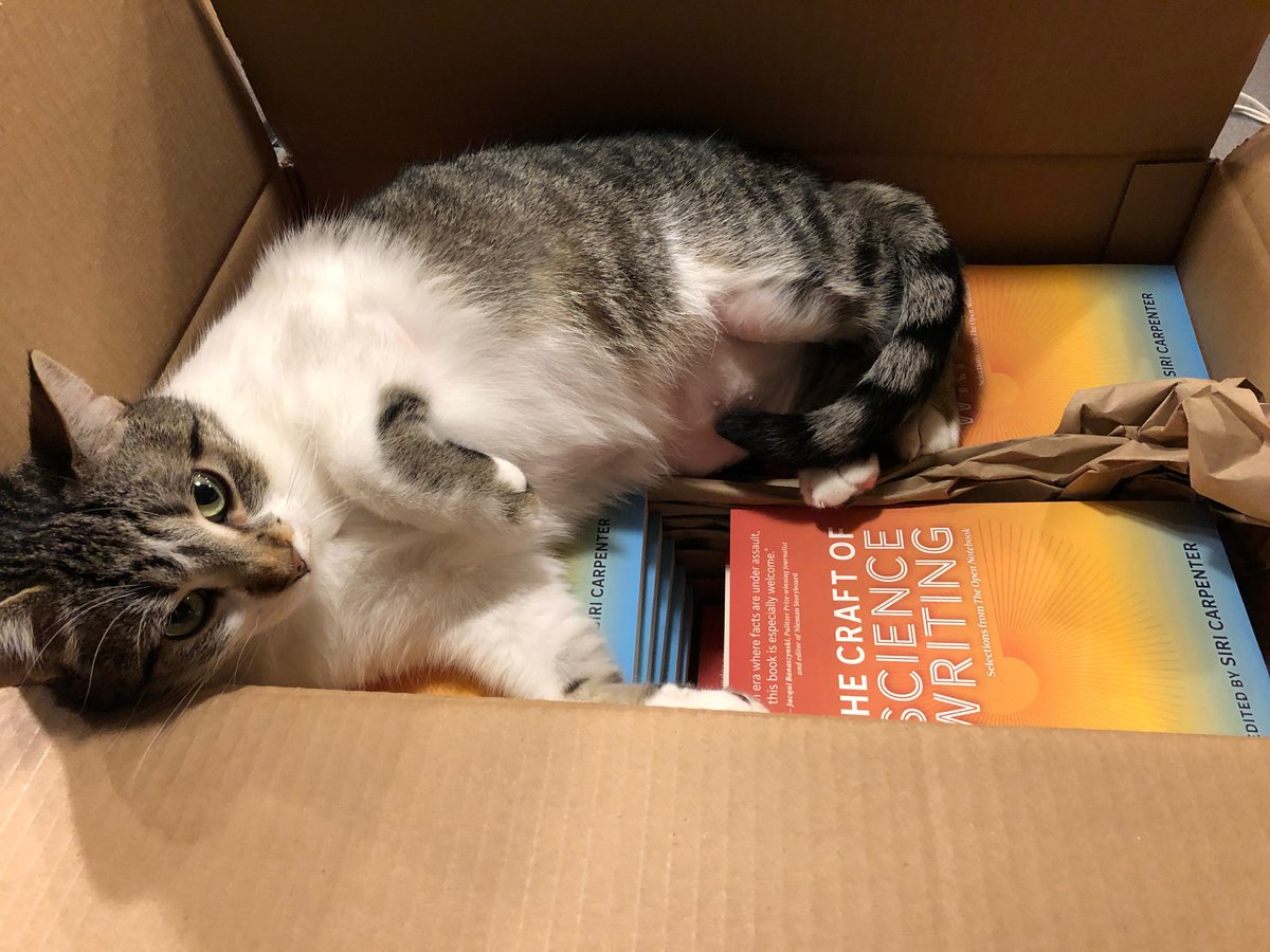 So, here are Turtle and Smudge, who own TON co-founder  @siricarpenter. Both cats enjoy long walks on the beach and The Craft of Science Writing  https://www.theopennotebook.com/the-craft-of-science-writing/