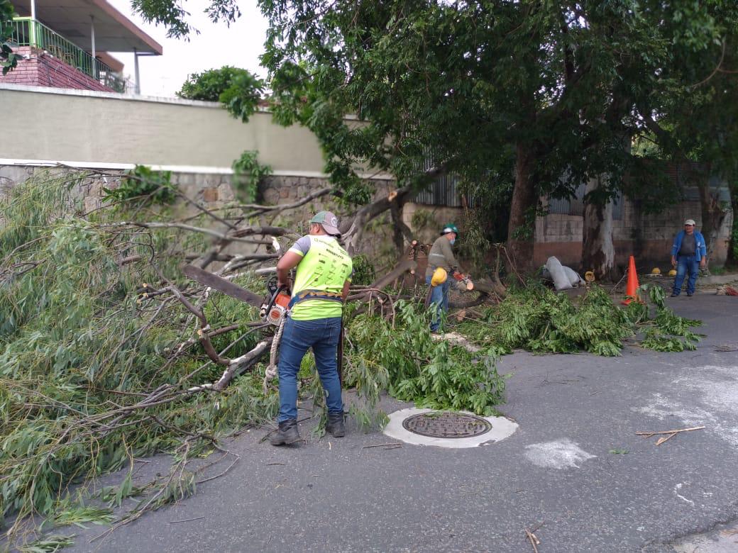 elradarsv's tweet photo. #Nacionalesv Los fuertes vientos de las últimas horas han derribado vallas publicitarias y árboles.
➡️ #PROCIVILSV pide a la ciudadanía y automovilistas precaucion al circular por las vías https://t.co/YZZNaJPpfY