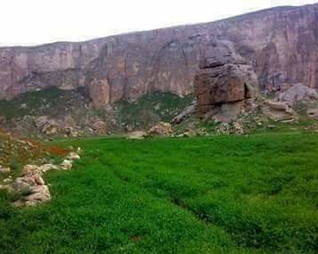 سگی را خون دل دادم که با من آشنا گردد/ندانستم که سگ خون می‌خورد خونخوار می‌گردد.