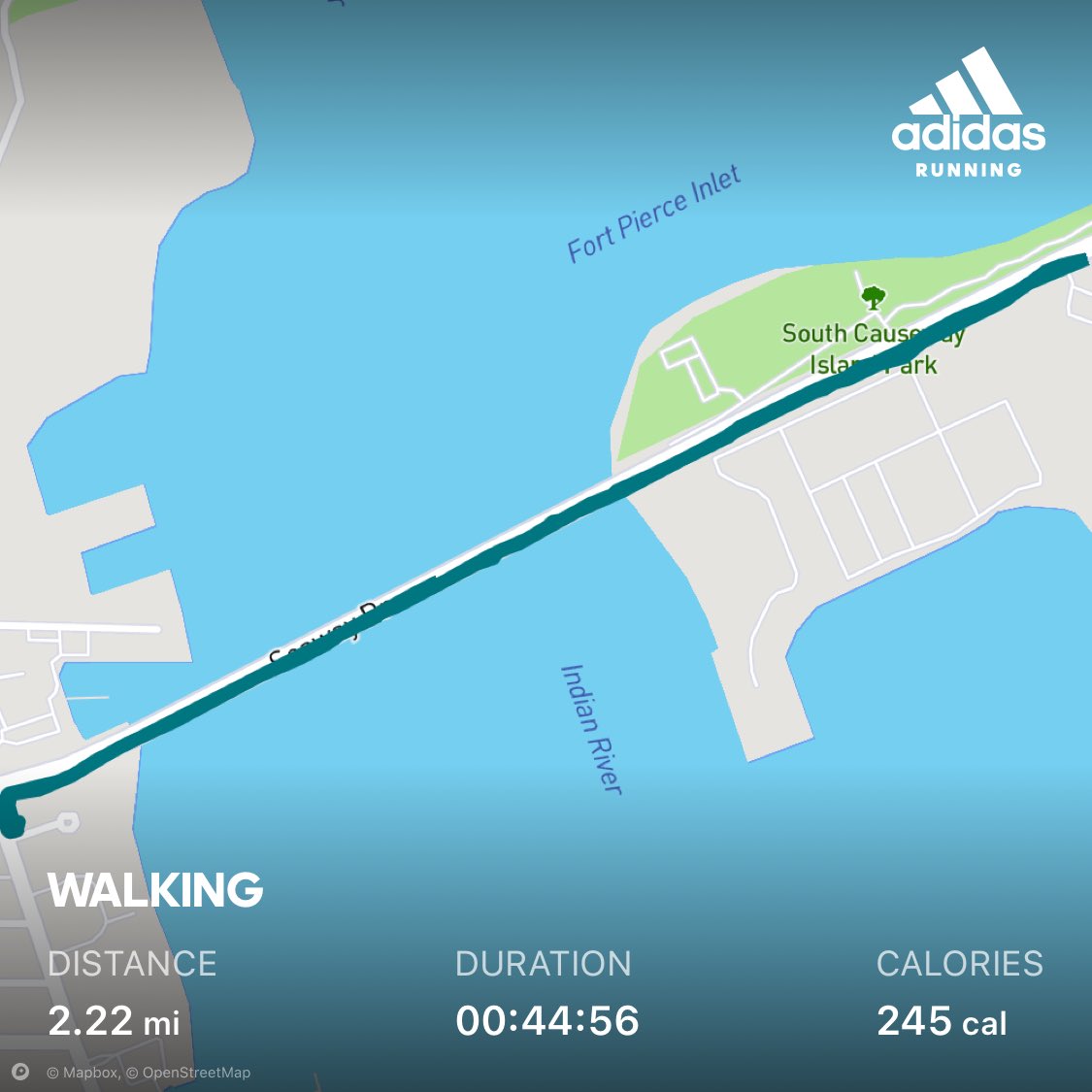 reesethegator's tweet photo. #100milechallenge #100milesinNovember https://t.co/txnEMjy7Wi