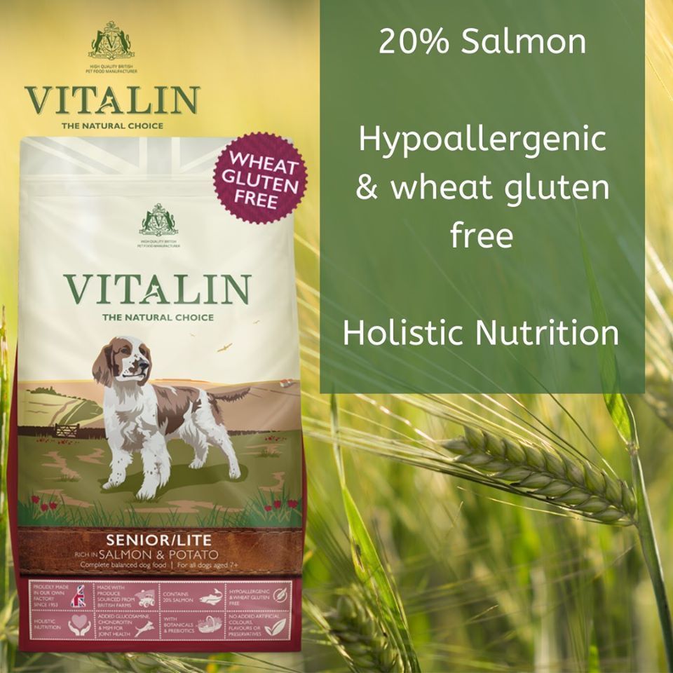 vitalin working dog food