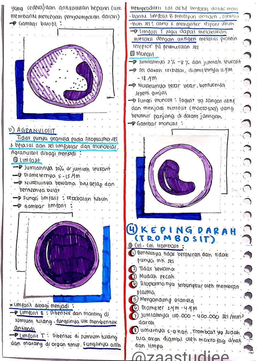 z a a 👩⚕️ tweet media