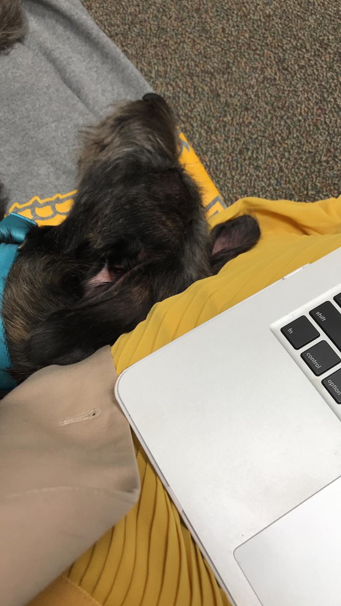 Dr. Amritha Mallikarjun tweet media