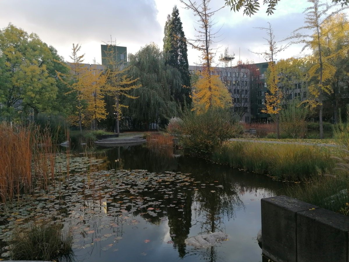 strahlenschutz's tweet photo. #BfSInside: Ehemals Gebäude des #Postministeriums - nun sitzen die #BfSler in Bonn gemeinsam mit dem #BMU direkt an der #Rheinaue. Das Geld für die Kantine ist schnell am Geldautomaten im Foyer abgehoben und der Verdauungsspaziergang kann im hauseigenen Park gemacht werden. https://t.co/X911IWaN1I