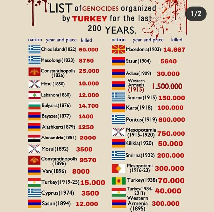 MarianaKa2's tweet photo. #StopAzeriAggression #StopErdoganTerrorist #StopErdogan #stopaliyev #stopterrorism #nomoregenocide https://t.co/rLANksEe68