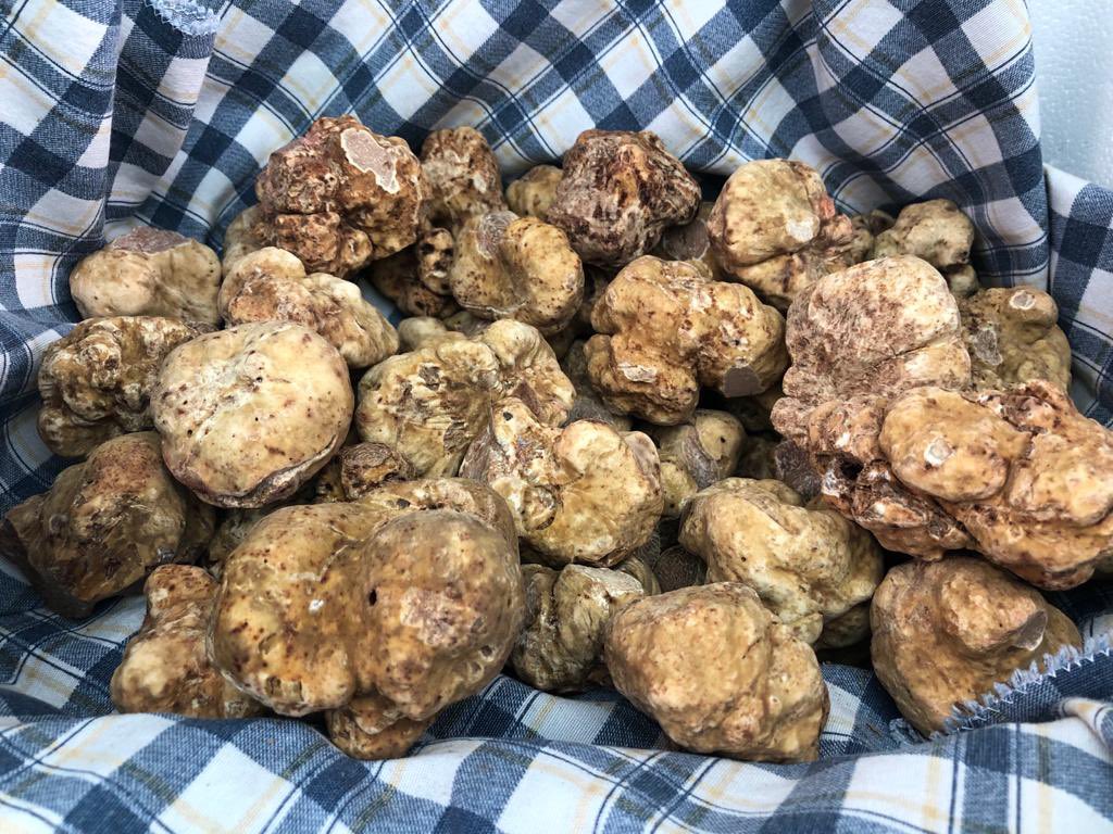 These white truffles are featuring on the @cabotte_ menu today 🍂🤩

#truffle #whitetruffle #autumnmenu #cabotte #londoncity #winerestaurant