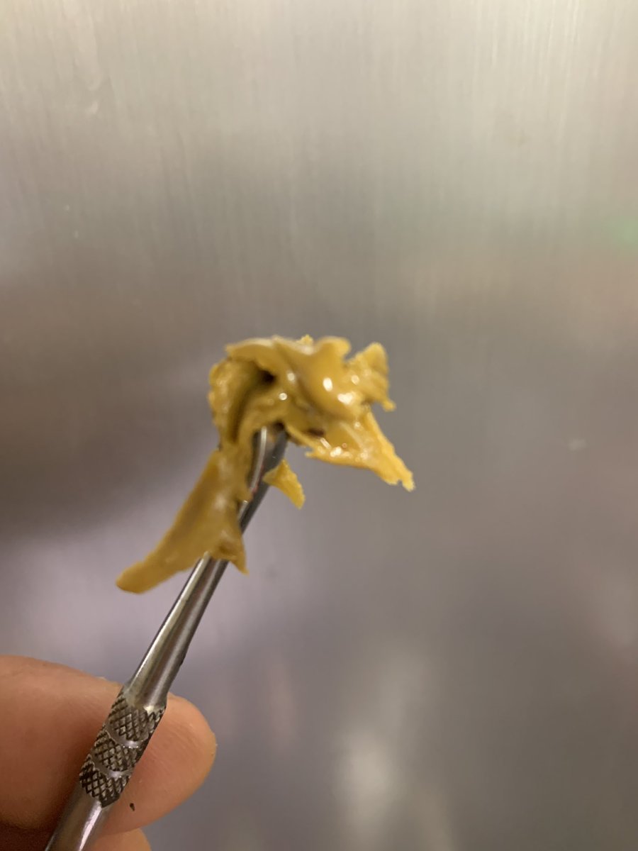 Y a quien le amarga un dulce?? #rosin #rosinprepress #rosinrevolution #cannabisextracts #mrhideextracts