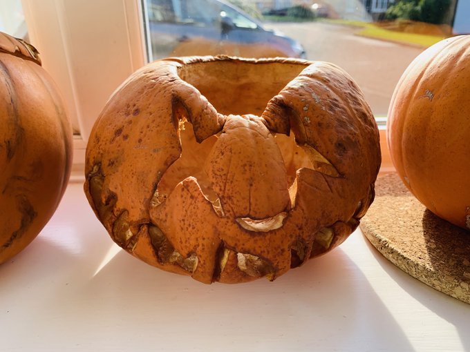 Might be time to hoy the pumpkins into the field... 🥴 https://t.co/onnzzCz4RU<a href="/tag/mytwitteranniversary"class="tags"><span>#mytwitteranniversary</span></a>