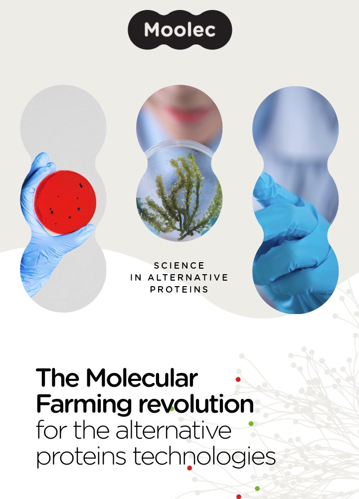 Cdesmarchelier's tweet photo. "We use plants as bioreactors".

#MoolecScience es otra gran idea que se incorpora al @grupobioceres 🇦🇷

https://t.co/hPCMD8oMLQ

https://t.co/hpTtG6pEmF https://t.co/dnOtDVf2gp