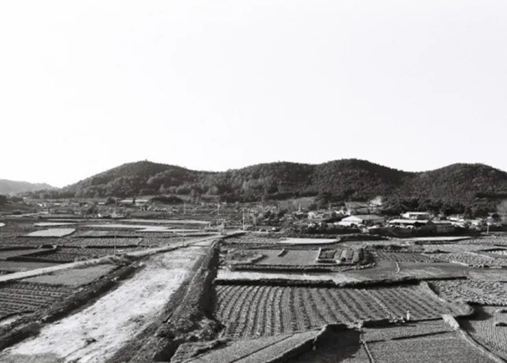 Distrik Gangnam, Seoul, dikenal sebagai ‘Beverly Hills’-nya Korea Selatan karena harga propertinya yang tinggi, toko mewah, tempat tinggal selebriti, tempat hangout mahal, hingga gedung agensi besar K-pop.Kurang dari 50 tahun lalu, bentuknya masih begini.