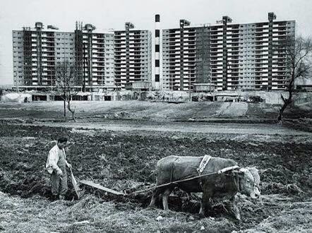 Distrik Gangnam, Seoul, dikenal sebagai ‘Beverly Hills’-nya Korea Selatan karena harga propertinya yang tinggi, toko mewah, tempat tinggal selebriti, tempat hangout mahal, hingga gedung agensi besar K-pop.Kurang dari 50 tahun lalu, bentuknya masih begini.