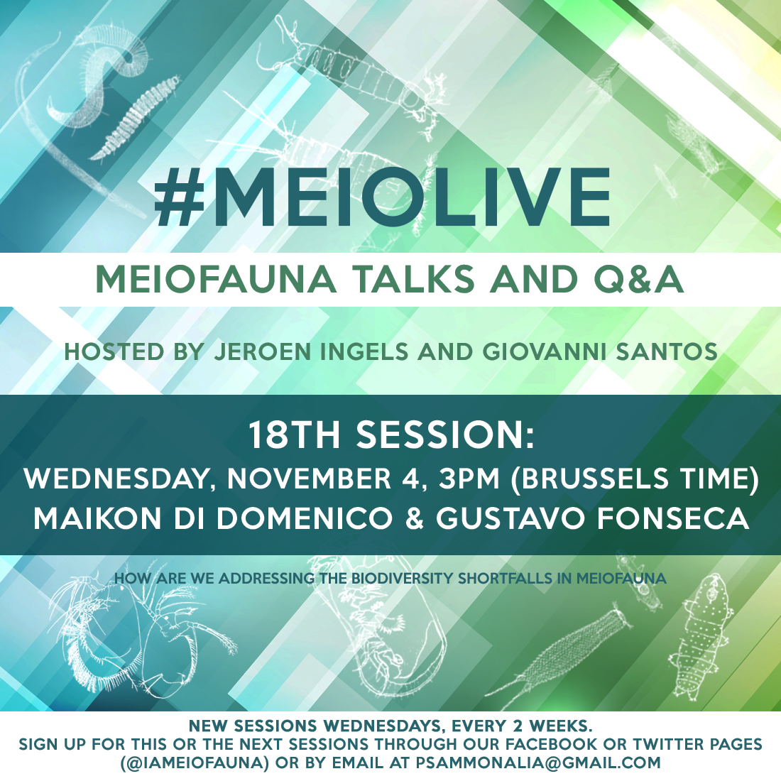 IAMeiofauna's tweet photo. Don't forget, tomorrow is MEIOLIVE day! 
Session 18 brings us Maikon Di Domenico and Gustavo Fonseca, talking about “How are we addressing the biodiversity shortfalls in meiofauna”.

November 4, 3pm (Brussels time) https://t.co/KPzSIa5Mzv
