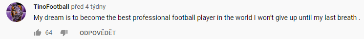 This comment got me thinking and I just don't see it as the best approachYour goal shouldn't be to become the best football player or the best trader. That's an unachievable goal for mostYour goal should be to become better then you were yesterday, even by a small margin