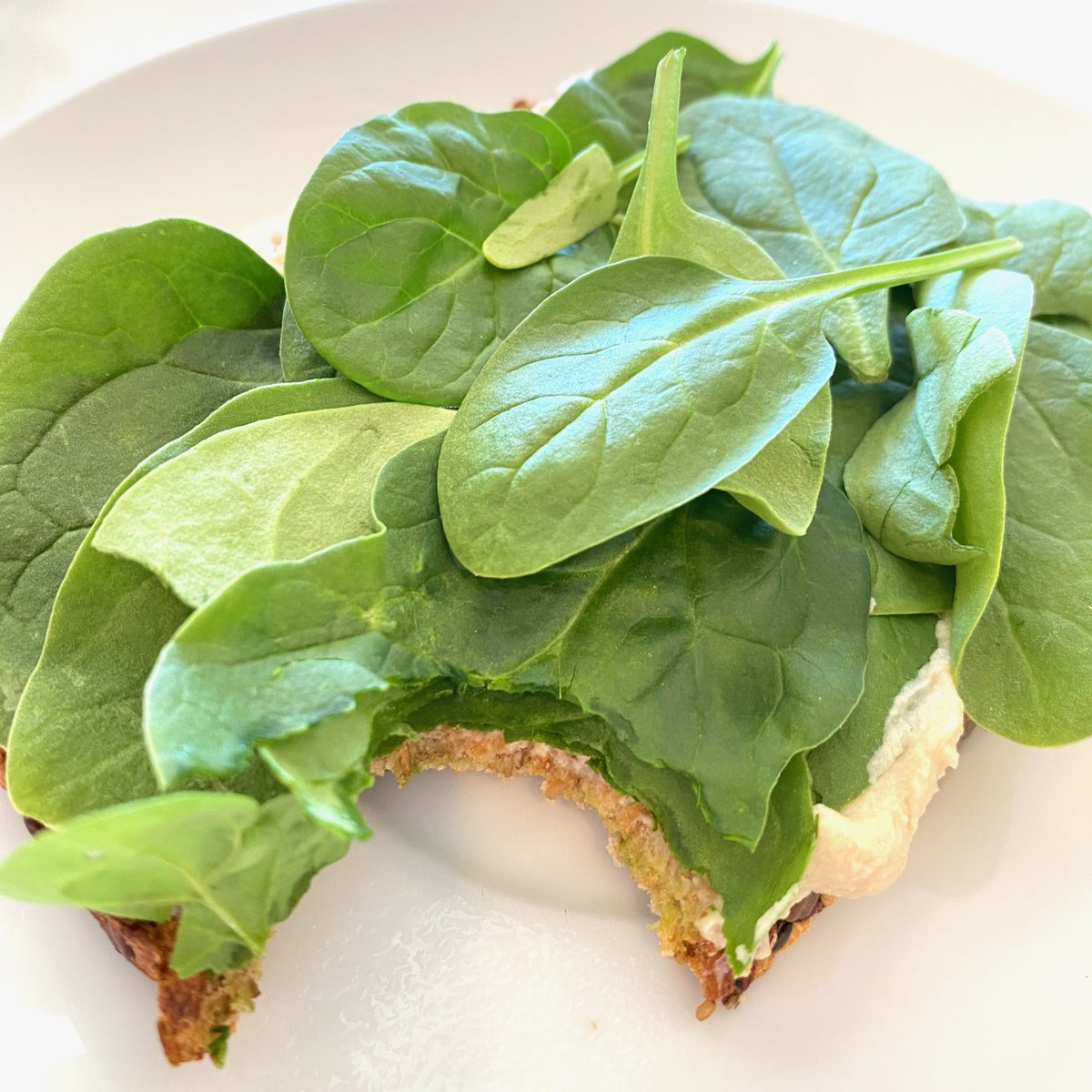 TodaysVegan's tweet image. 1 of 2: Fast &amp;amp; Easy Vegan Breakfast

What could be easier if you’re just beginning to try a vegan diet?

1, 2, 3…
Whole wheat toast
Hummus
Spinach

I like these brands:
@KillerBread 21 Whole Grains and Seeds Bread
@CedarsFoods Organic Original Know Better Hommus