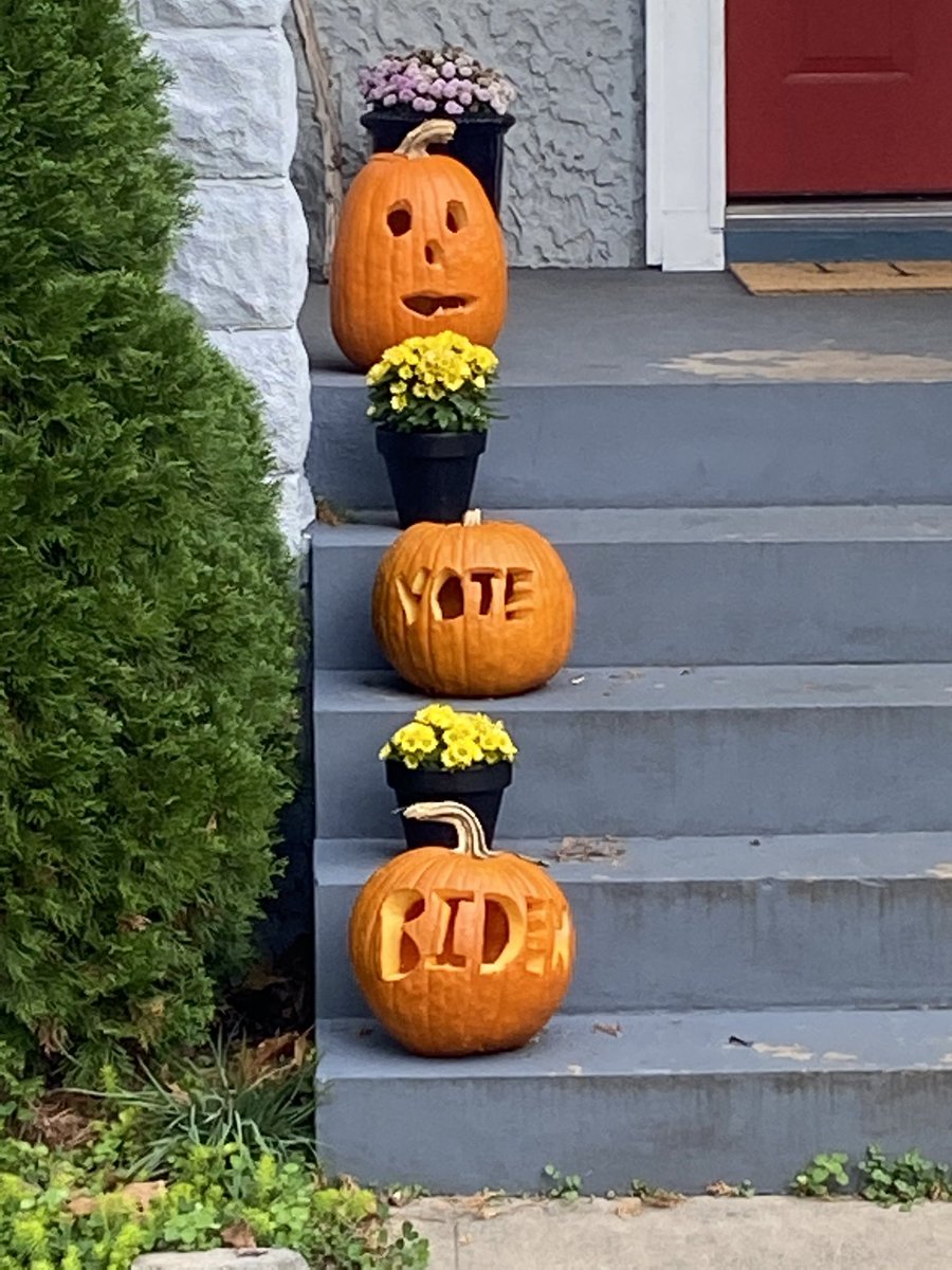 WoodridgeDC's tweet image. #WoodridgeDC Vote #BidenHarris2020