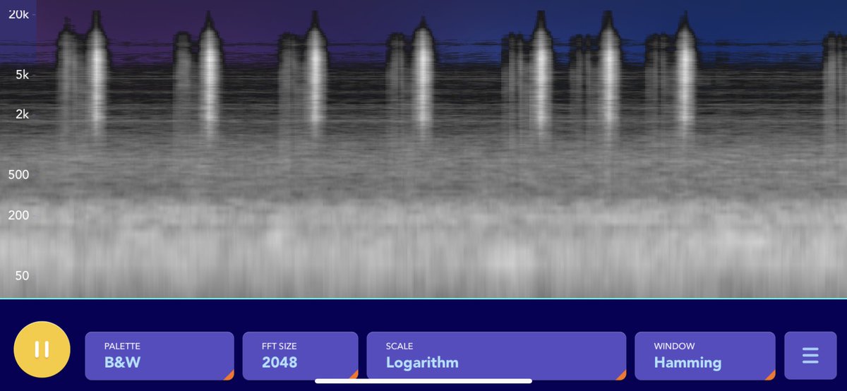 Kayla Rose (@kaylarose_exp) on Twitter photo 