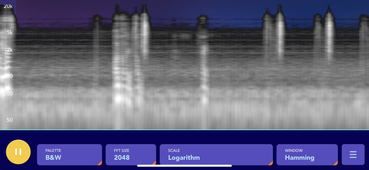 Kayla Rose (@kaylarose_exp) on Twitter photo 