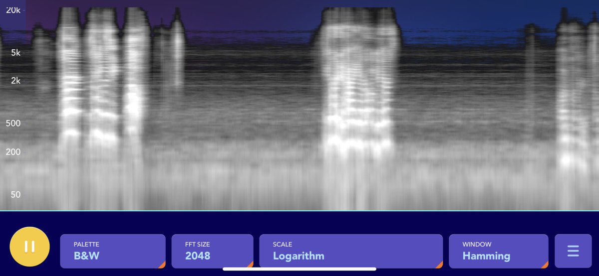 Kayla Rose (@kaylarose_exp) on Twitter photo 