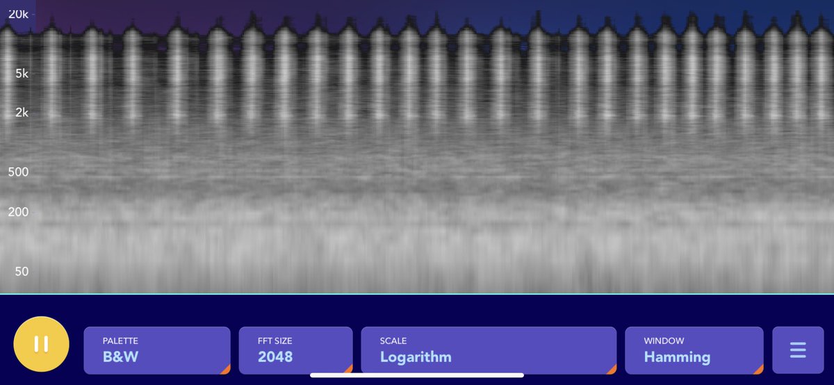 Kayla Rose (@kaylarose_exp) on Twitter photo 