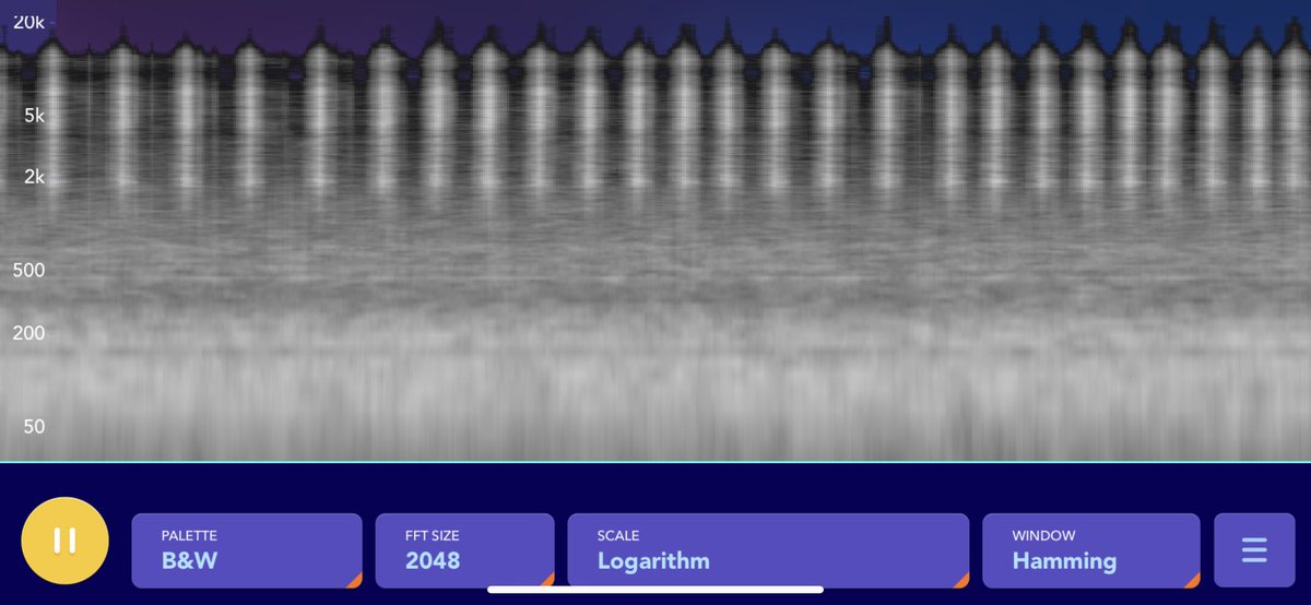 Kayla Rose (@kaylarose_exp) on Twitter photo 