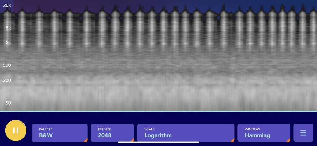 Kayla Rose (@kaylarose_exp) on Twitter photo 