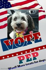 JohnnyBSkol's tweet photo. The only candidate running today that I trust!
#VotePep
#Election2020 https://t.co/VZP35eqzkK