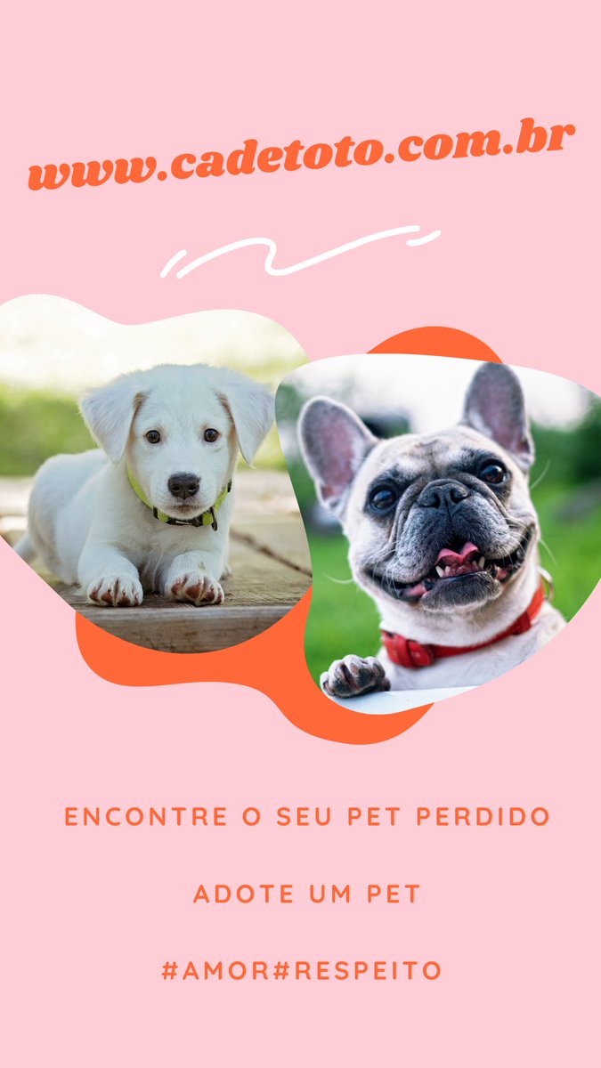 CadeToto's tweet photo. 👉https://t.co/dOgZ9dJ3uF

🌟Site para o cadastro GRATUITO do seu Pet Perdido ou para adoção de um pet

🌟Divulgue esta causa

🌟Por amor aos Pets https://t.co/7bZrDTr20E