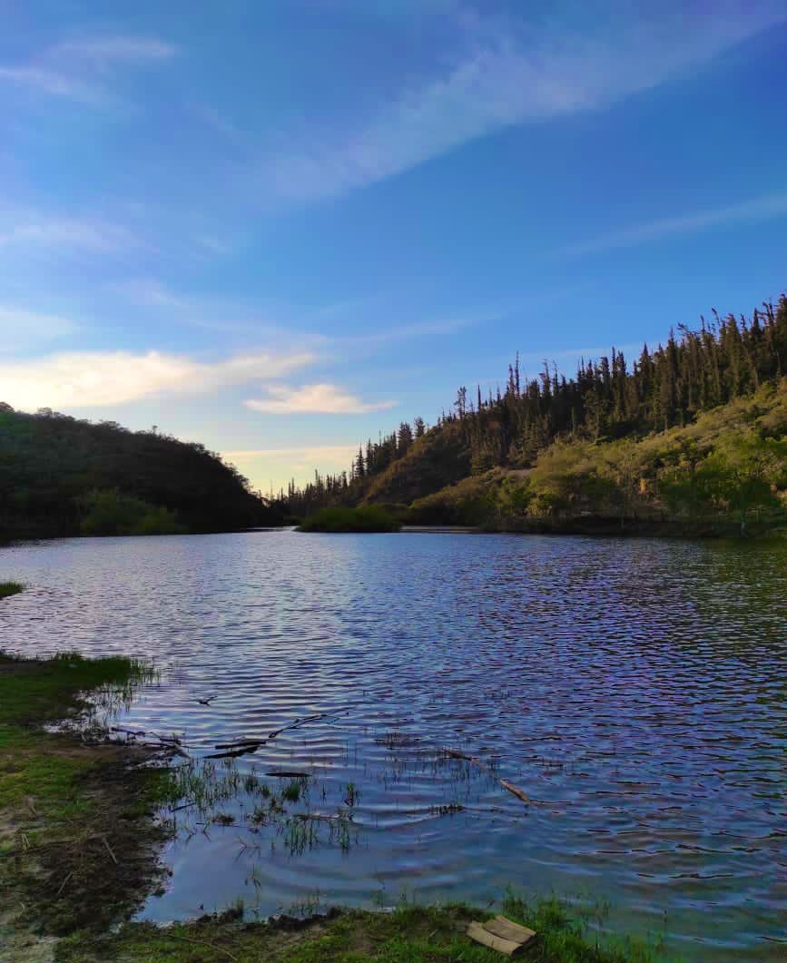 germaniaquezada's tweet photo. Un hermoso lugar para disfrutar de la naturaleza. 😍🥰
Represa Los Cristales, #Anganuma, #Quilanga.
#VisitaLoja. https://t.co/oJkwkMH84a