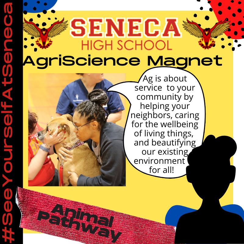 #SeeYourselfAtSeneca