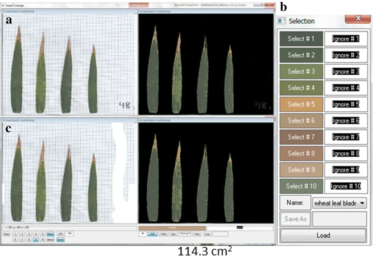 sci_plant's tweet photo. CoverageTool: A semi-automated graphic software: applications for plant phenotyping

https://t.co/gtYeGeALG3
#plantsci #CoverageTool #plantmethod ♻️ https://t.co/3ACl8Piiwv