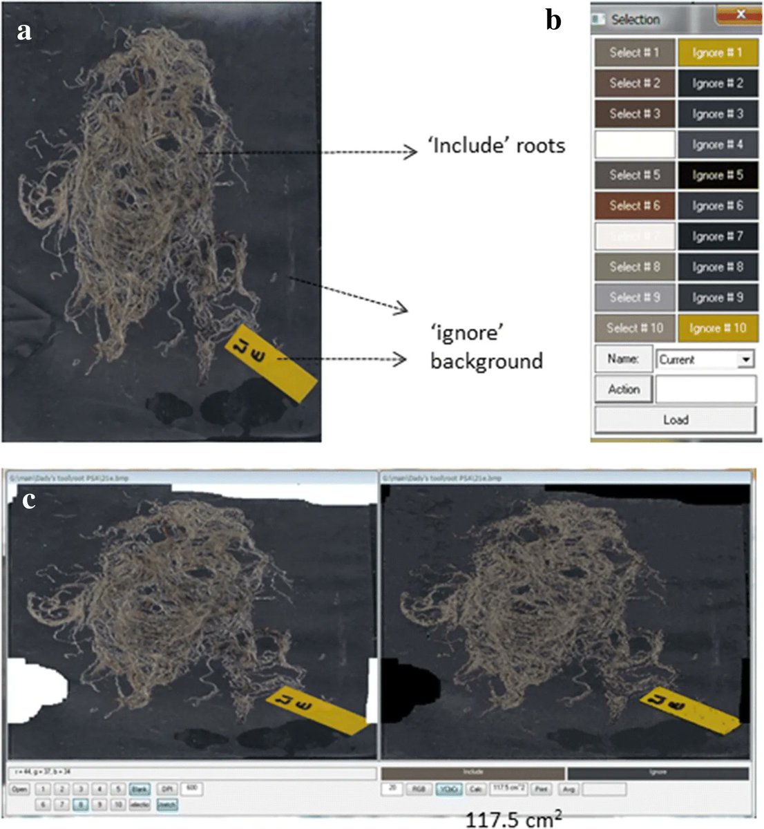 sci_plant's tweet photo. CoverageTool: A semi-automated graphic software: applications for plant phenotyping

https://t.co/gtYeGeALG3
#plantsci #CoverageTool #plantmethod ♻️ https://t.co/3ACl8Piiwv