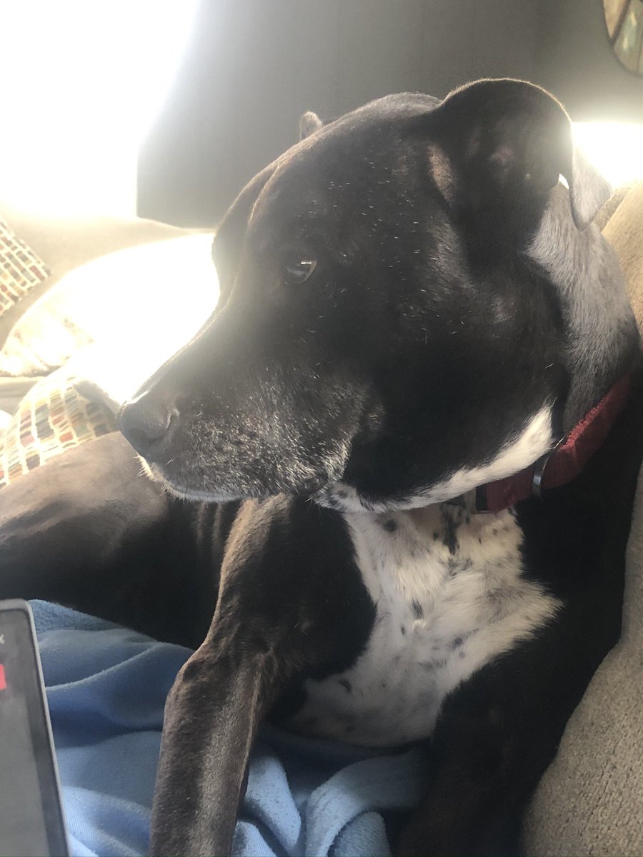 Elizabeth Hertel tweet media