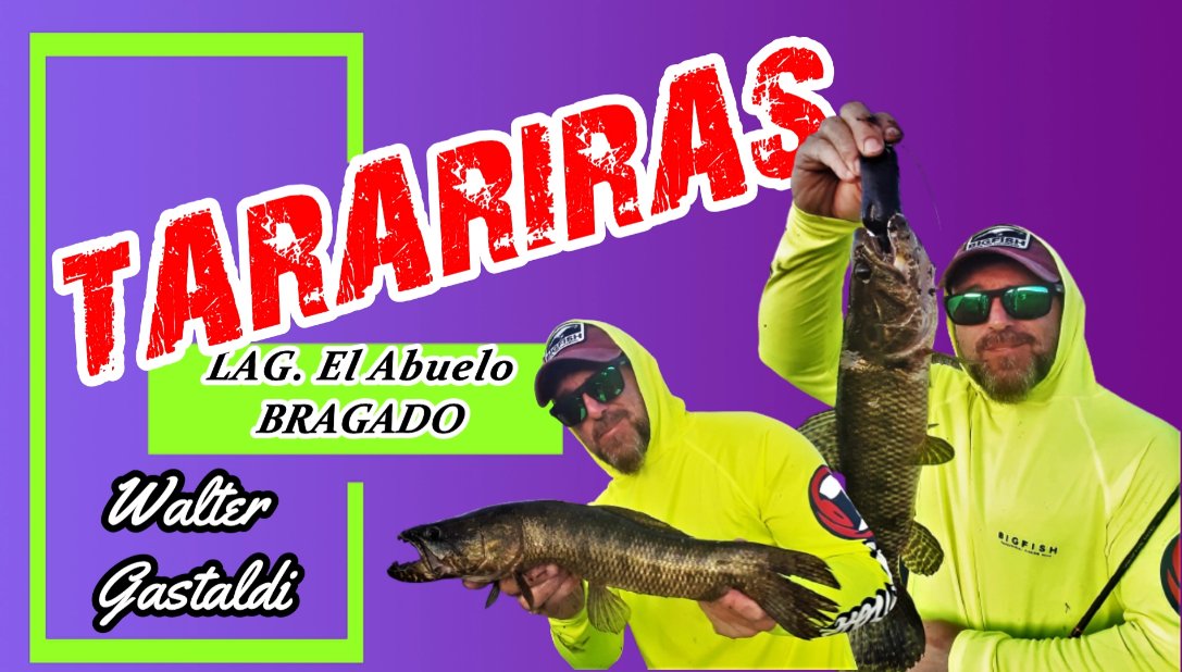 waltergastaldi's tweet photo. Hoy 20 hs estreno video de Apertura de Temporada en la Laguna El Abuelo , pesca Baitcasting en Superficie y Sup-Superficie les dejo el link del canal y a suscribirse eh !!
https://t.co/1pUPi3HKs1
#pescandoconartificiales #techtackle #bigfishargentina @tech_tackle @bigfisharg https://t.co/L3q0cGMy7c