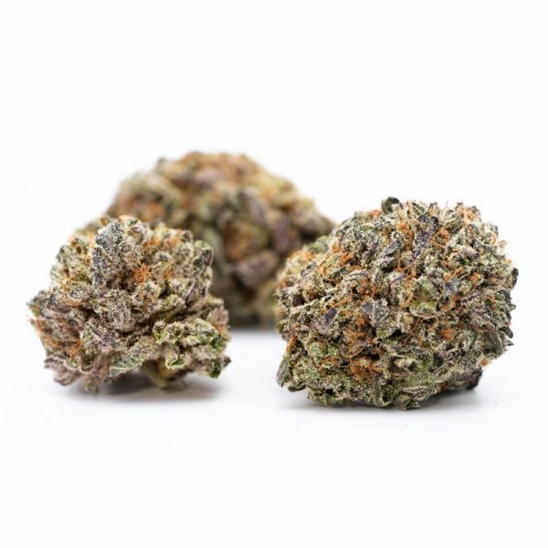 cana_kush's tweet photo. “ If you have ever heard of Jimi Hendrix, then you definitely have heard of Purple Haze. Popularized by Jimi Hendrix and his psychedelic music, the strain delivers a rush of...”
“PURPLE #CANNABIS STRAINS PROFILES” #canakush #purplestrains https://t.co/RAdeVFPoty https://t.co/0dXeQMdeoC