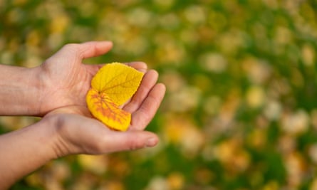 nordicwalkinguk's tweet photo. Apparently, leaf-peeping – or momijigari as it is called in Japan – is becoming more of a staple in British life.  Are you enjoying the turning of the seasons?
https://t.co/lzSQlA6SMd
#LeafPeeping #Nature https://t.co/3afLbMbKLQ
