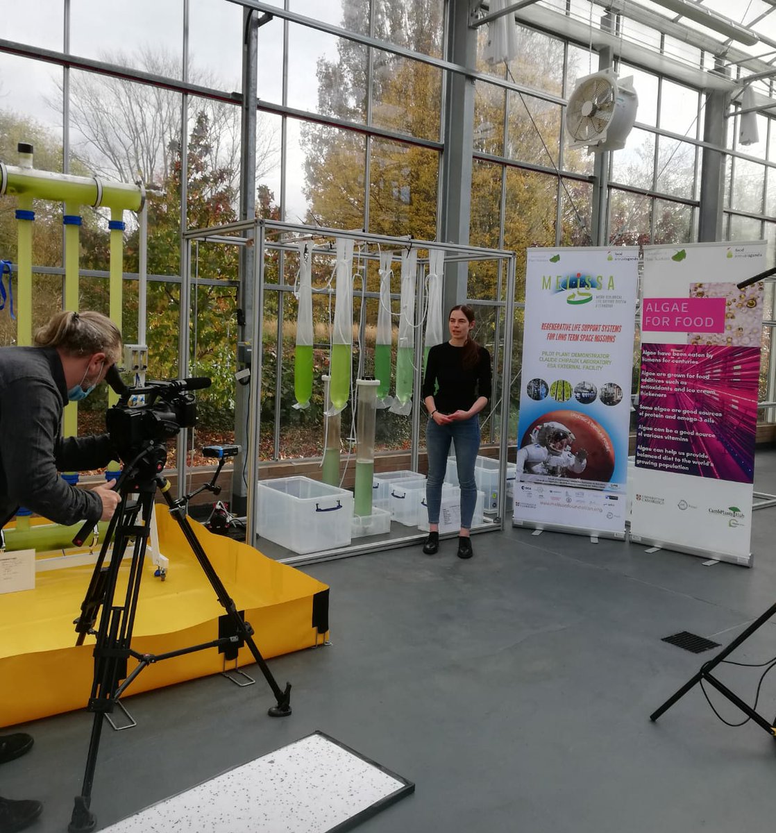 Inspired by the first sessions of the #MELiSSA 2020 conference I enjoyed describing my POMP PhD project for our lab's newly virtual workshops! Looking forward to joining in with the rest of the conference! <a href="/MELiSSAProject1/">MELiSSA Space Research Program</a> <a href="/scienceisnotfun/">Dr Matt Davey</a> @payammehrshahi @plantsci