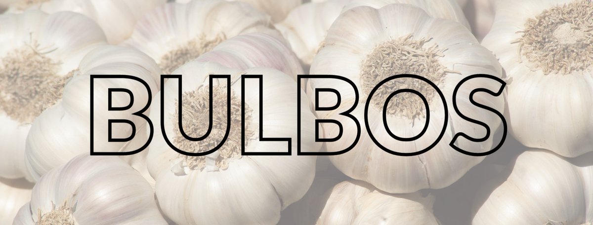 PastryRev's tweet photo. 📚 PãstryRevolution 45 >> 🌐
https://t.co/kKeyuNYk4q
📖 Nuestra última edición clasifica los vegetales en función de la parte que se consume
🌱 En el capítulo de #BULBOS se presentan creaciones dulces con ajo, hinojo, nabo y puerro
#PR45 #VegetalesenPastelería https://t.co/x46XI81IYL