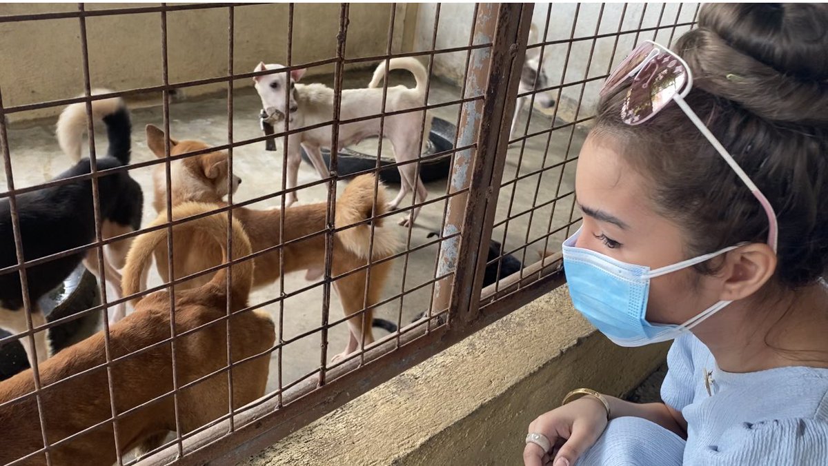 JelaiAndres's tweet photo. You can't change a dog's past, but you could rewrite his/her future ❤️🐶
Asong gala no more! ❤️
WATCH THE VIDEO HERE: https://t.co/kS32DywEn8 https://t.co/kS32DywEn8
#AspinQueen #JelaiAndres #PAWSsionProject #Rescueddogs https://t.co/Xq4FnDrCWc