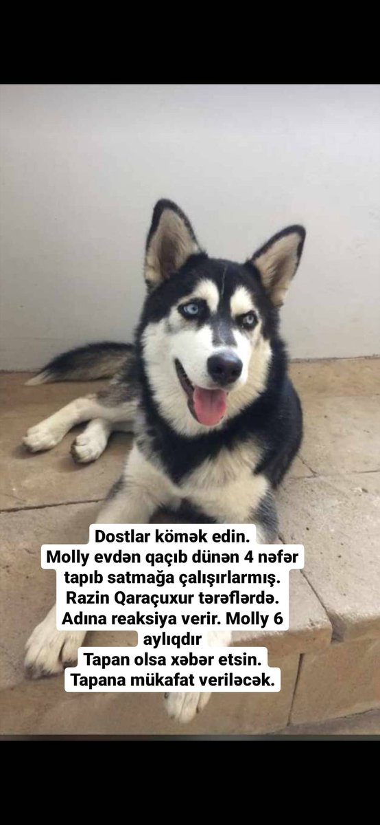 #Help @XuduzadaFatima