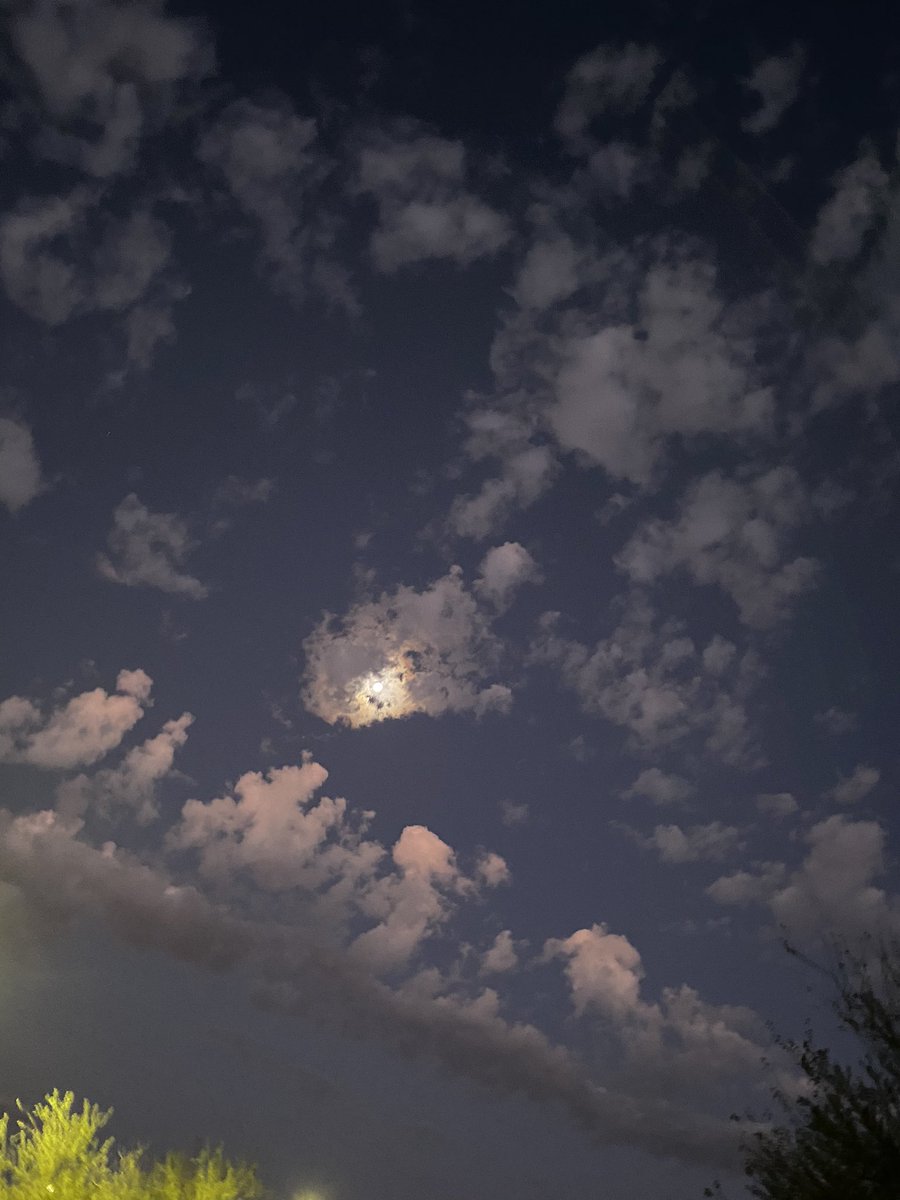 azsya4's tweet image. Standing in long line to vote before 6 am.  Trump is gonna win #Arizona #2020Elections #keeparizonared