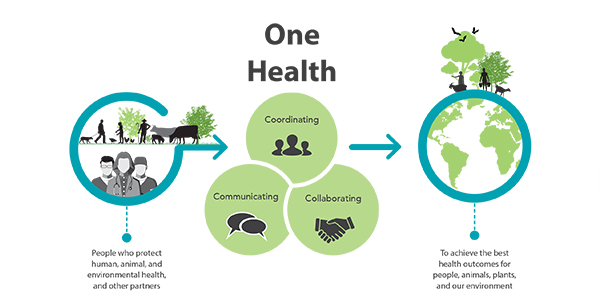 JIrimaso's tweet photo. Today is #OneHealth day!

Did you know that #Zoonotic, #EmergingPandemic diseases like #Ebola, #COVID19, #AntimicroialResistance, #ClimateChange etc are One Health issues? We need everyone discipline to tackle these #GlobalHealth challenges as #OneTeam. https://t.co/D8cmzt5pKn