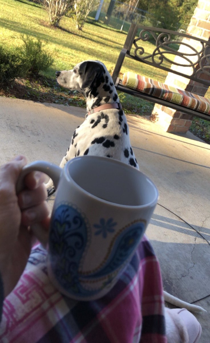 SouthMSRN's tweet image. Coffee on the back porch this early in the morning...                           #whatiswrongwithme #ANDitscold #yallbettermakesuretheworldisntending