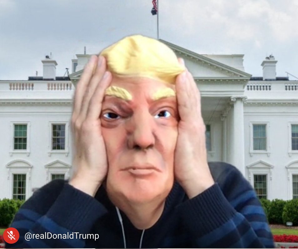 webfactory tweet media