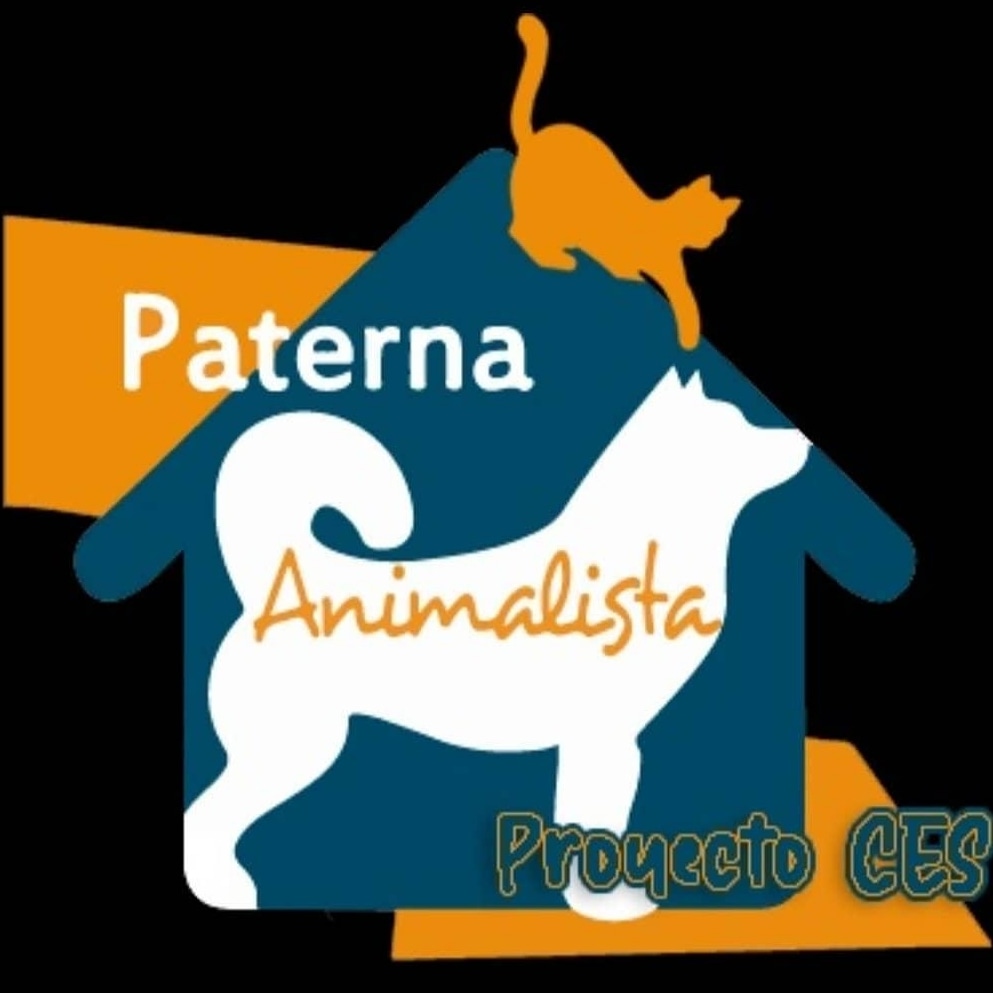 Pater. Animal. Proyecto CES tweet media