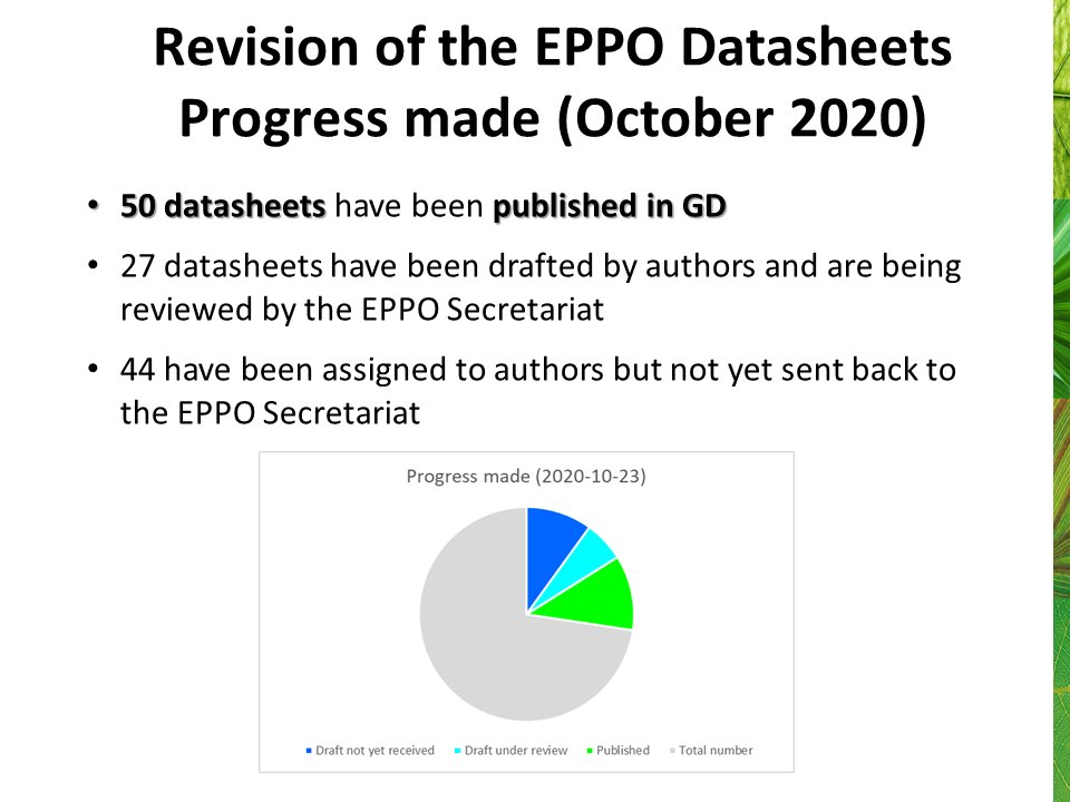 EPPOnews's tweet photo. A busy week ahead for the EPPO Panel on Phytosanitary Measures!
This morning, they were presented with the progress on the projects on datasheets, and EPPO codes and discuss how to design buffer zones to prevent pest spread.
 #planthealth https://t.co/dn5oPozLoK