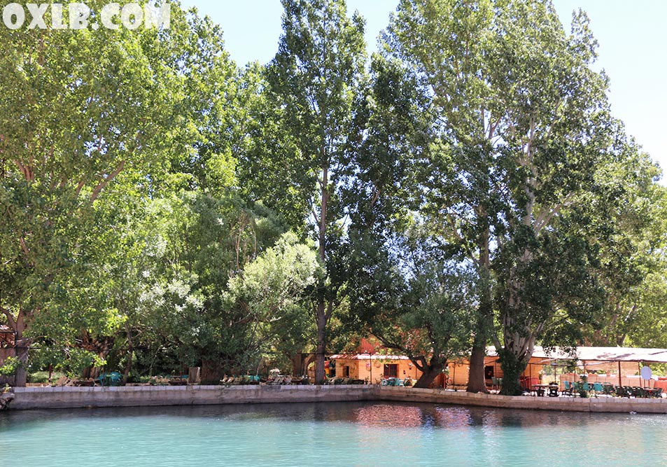 onefineart's tweet photo. Yammoune a village in the governorate of Baalbek-Hermel... a mixture of strong springs, cascades, lakes, and pretty flowers... #discoverlebanon #lebanon #yammoune #yammouneh #water #cascades #springs #waterspring #waterfall #nature - Visit https://t.co/BQIWMwsypk https://t.co/wqN6l3i0fz