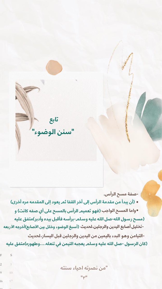 #نصرة_رسول_الله 

"من نصرته إحياء سنته"🤍🌱
"٣"