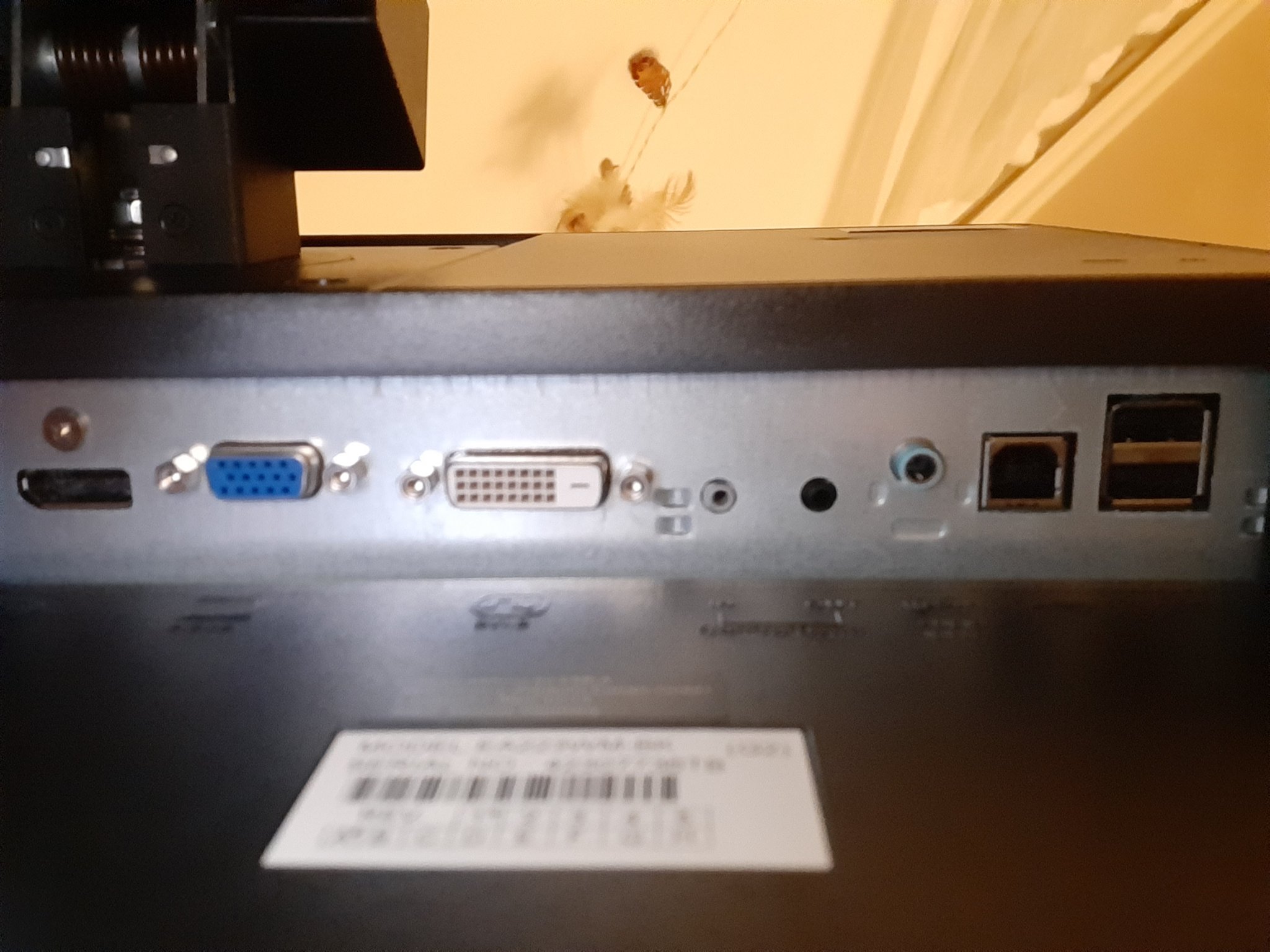 Schattenkämpferin on Twitter "Der Monitor erkennt zwar das Kabel bzw