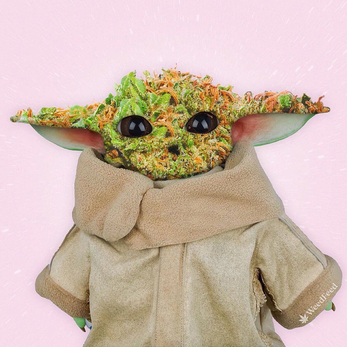 HempThis's tweet photo. This season of #TheMandalorian is about to be lit! 🔥

#CannabisMemes #CannabisCommunity
#BabyYoda #MEMES https://t.co/KsNGdl4F0E