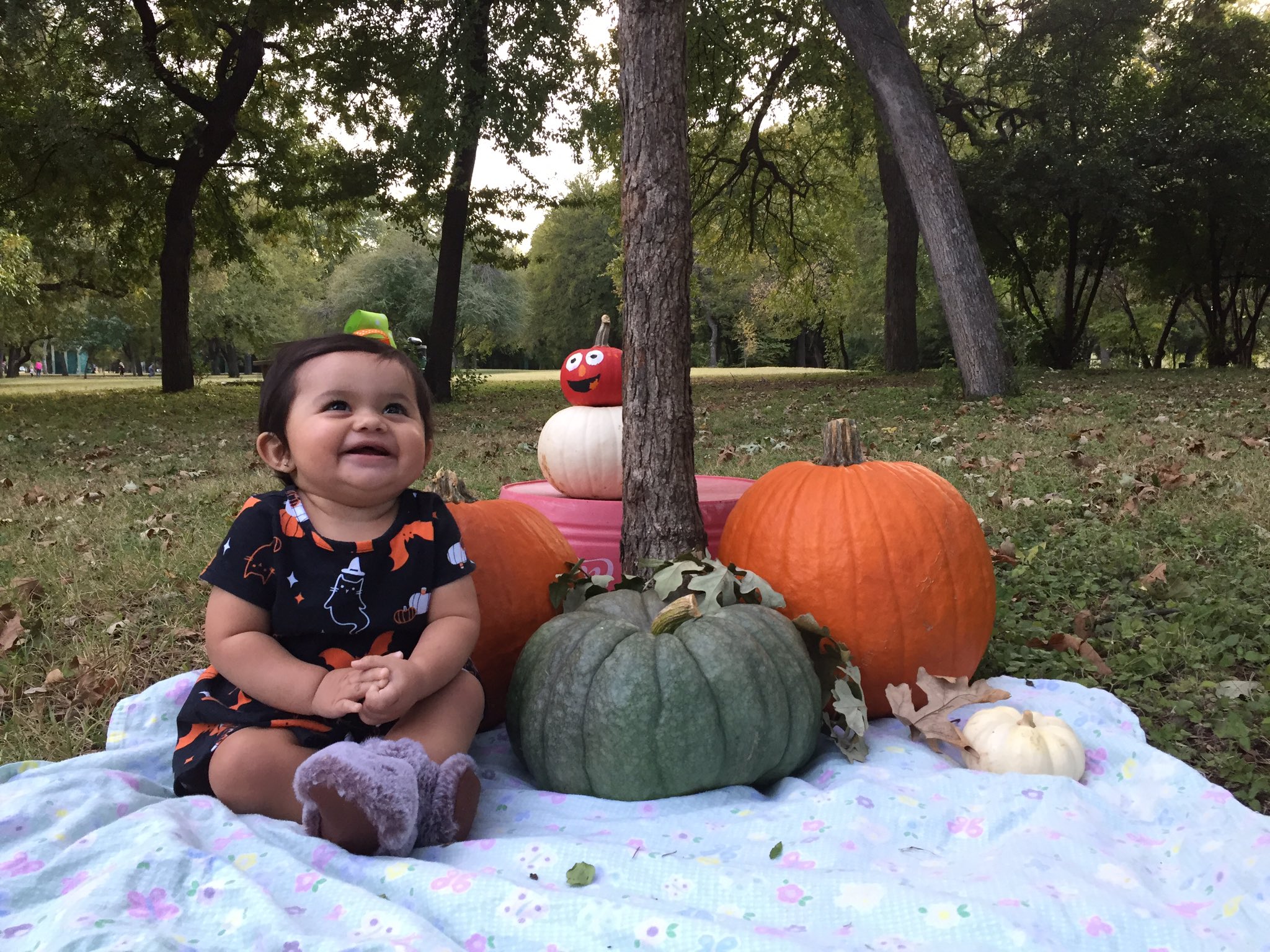 tara-on-twitter-she-s-so-freakin-cute-https-t-co-tztgy6mrg1